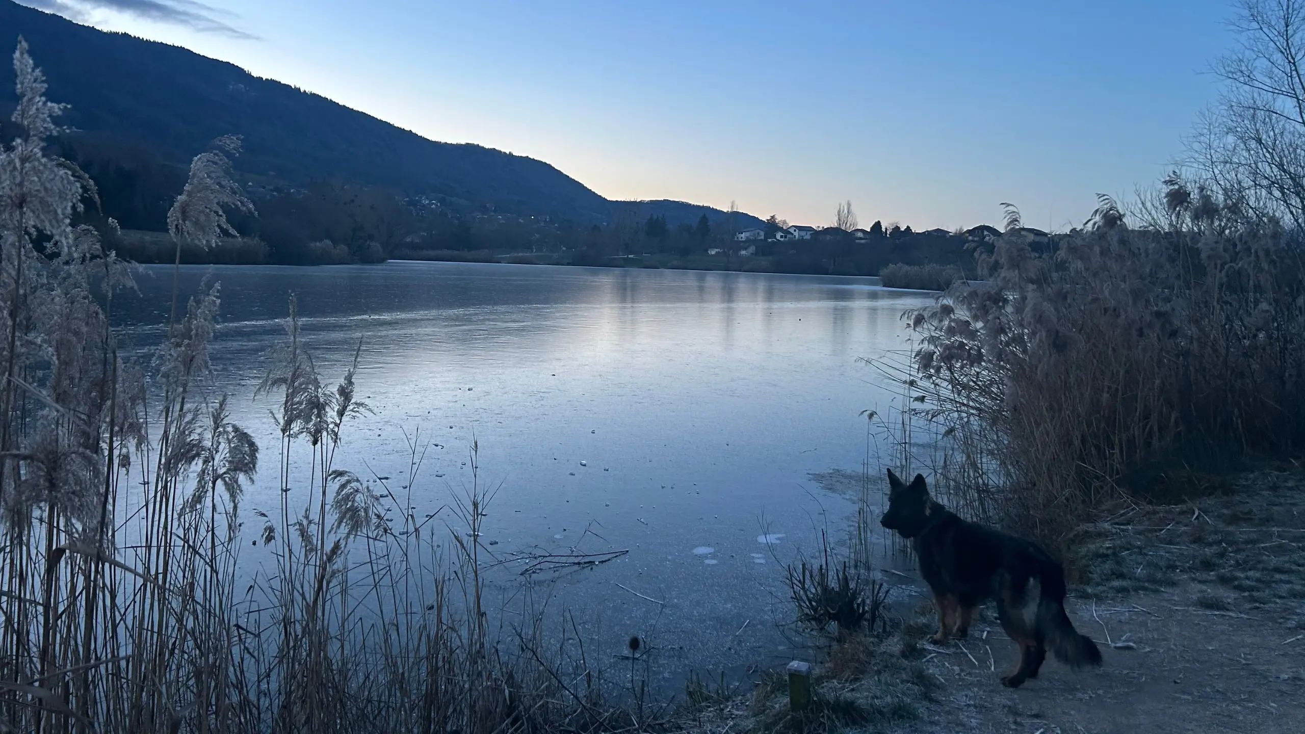 Le pré, la forêt et le point d'eau en fin de journée